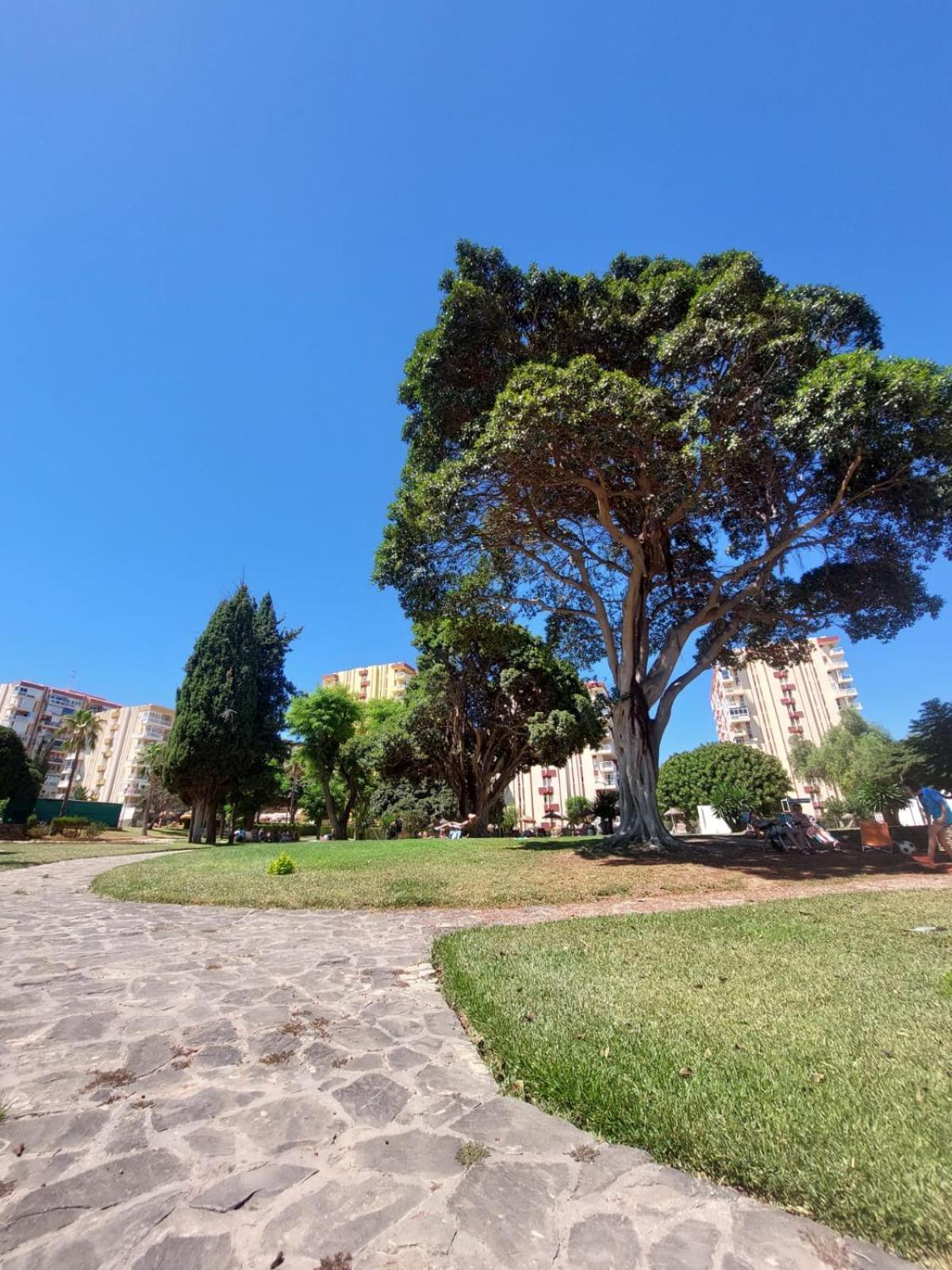 Studio Vista Costa Del Sol Бенальмадена Экстерьер фото